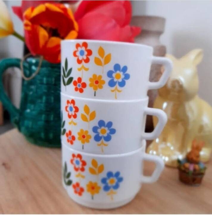 Lot de Tasses Arcopal