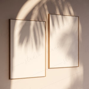 May include: Two blank, white canvases in gold frames hang on a light beige wall. The canvases are in the center of the image and are illuminated by sunlight, casting shadows from a plant on the wall.