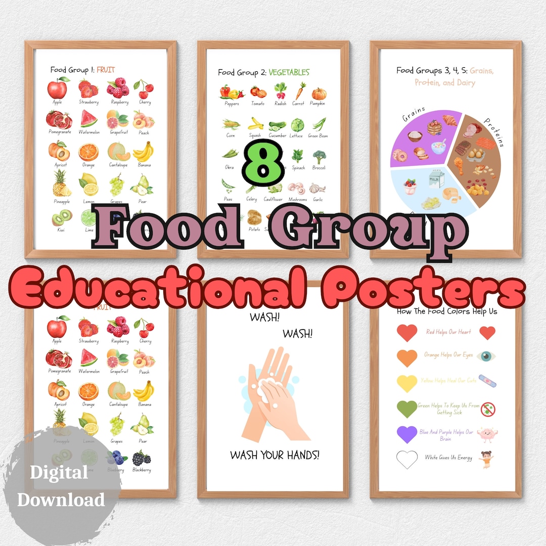 Educational Posters Classroom Decor 8 PRINTABLE Food Group Posters Biology Diagrams
