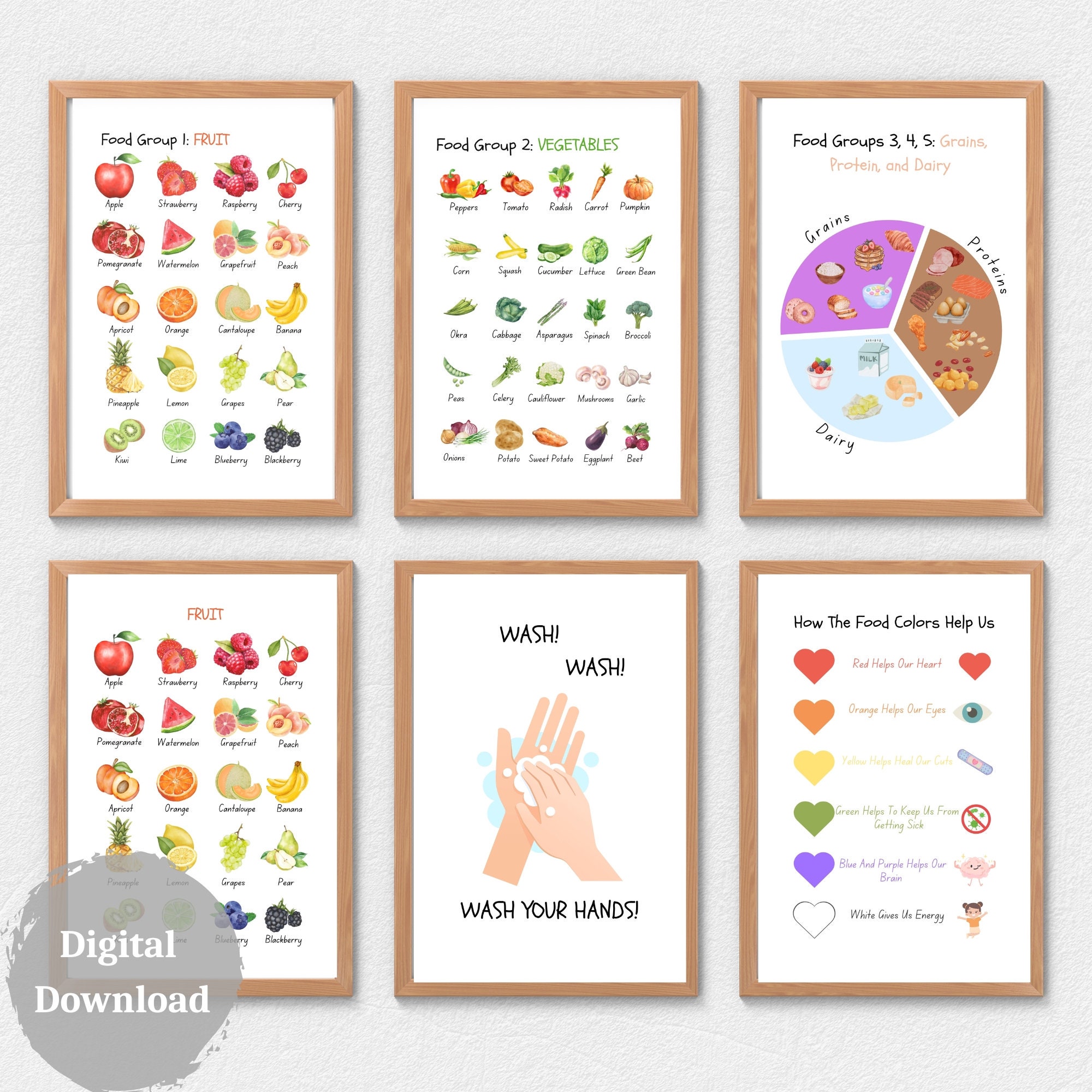 Educational Posters Classroom Decor 8 PRINTABLE Food Group Posters ... Biology Diagrams