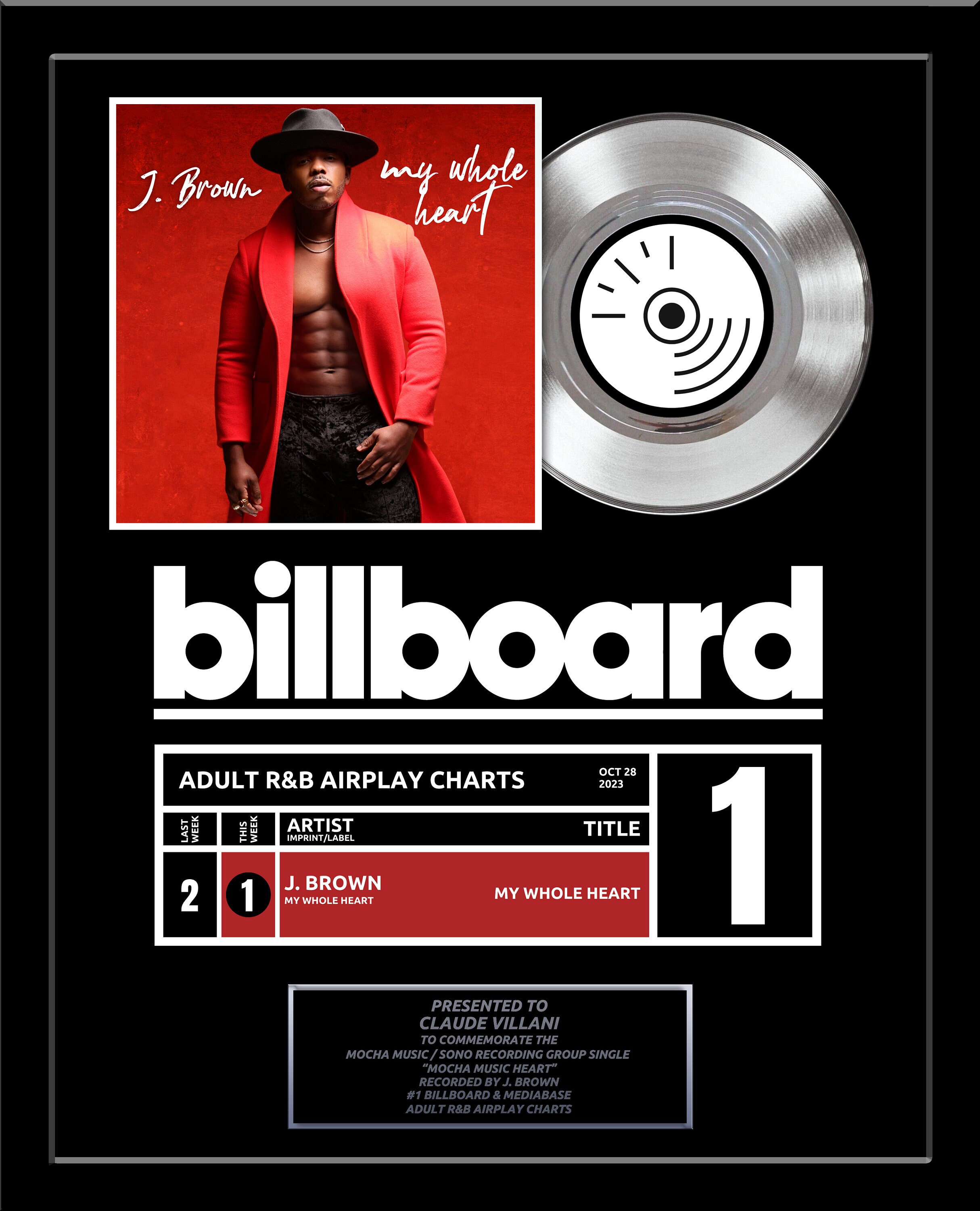 REAL VINYL RECORD Top of the Charts Record Award - Platinum 7" Record Album Award - 18" x 22" Framed Artist & Band Recognition