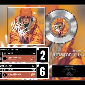 Top of the Charts Real Platinum 7&quot; Record Album Award 18&quot; x 22&quot; Framed Artist & Band Recognition Award MUSIC INDUSTRY STANDARD - Real Record