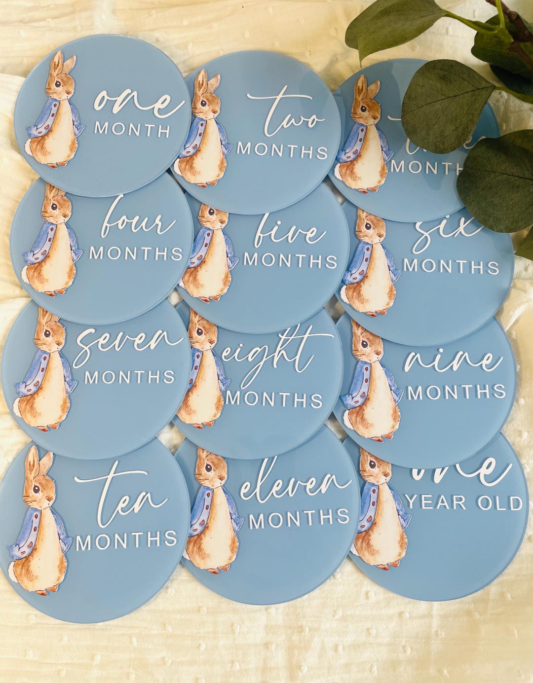 Bunny Rabbit Baby Milestones | Blue Acrylic Baby Milestone Set | Baby's ...
