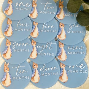 May include: Twelve blue and white circular baby milestone cards featuring a Peter Rabbit illustration. The cards are numbered one through twelve with the text "one month", "two months", "three months", "four months", "five months", "six months", "seven months", "eight months", "nine months", "ten months", "eleven months", and "one year old".