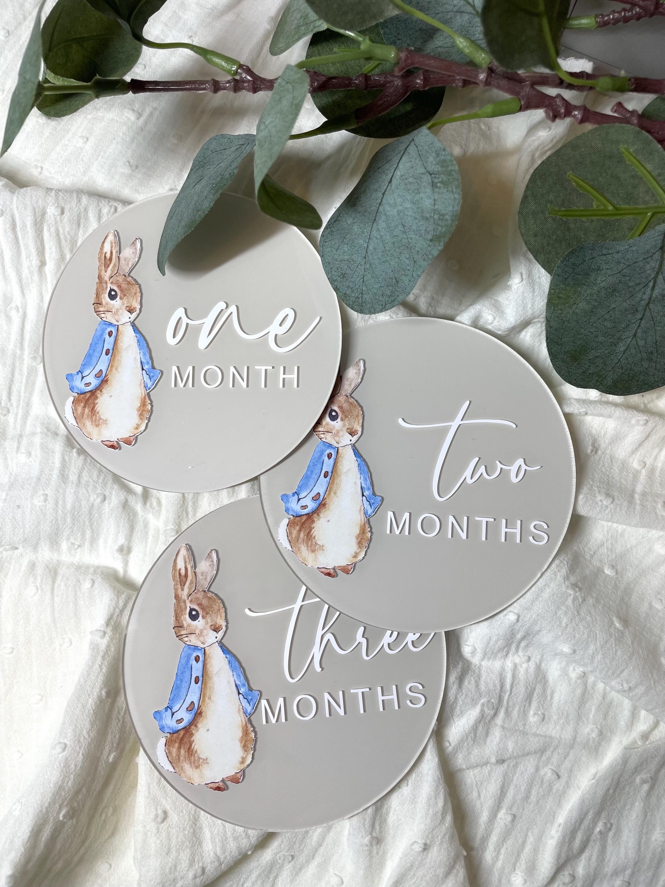 Bunny Rabbit Baby Milestones | Blue Acrylic Baby Milestone Set | Baby's ...