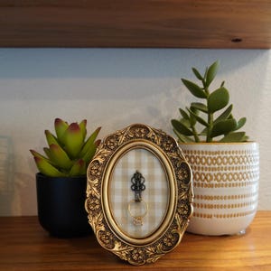 May include: An oval, gold-colored picture frame with a decorative border, holding a ring. The frame has a checkered background. Two potted plants sit on either side of the frame, one in a black pot and the other in a white pot.