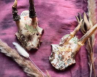 Buck Roe Deer Decoupage Skull