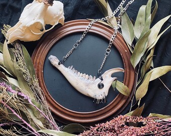 Handmade Fox Bone Fire Agate and Red Carnelian Arrowhead Necklace Etsy Canada