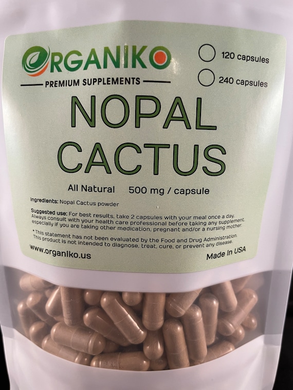 gummibaum ficus Gummibaum XL | Ficus elastica