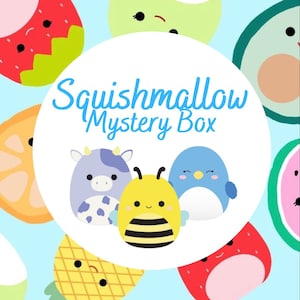 Squishmallow Mystery Box