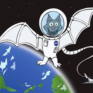 Batstronauta - Impresión de alta calidad en papel de terciopelo de archivo