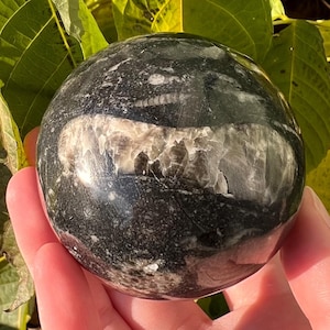 Orthoceras Fossil Sphere: Polished Moroccan Crystal Ball (60mm), Root Chakra