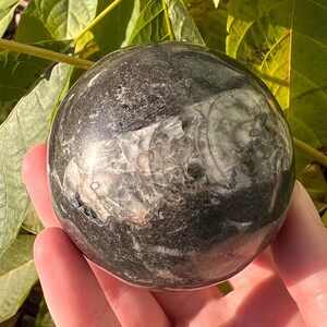 Orthoceras Fossil Sphere: Polished Moroccan Crystal Ball (60mm), Root Chakra