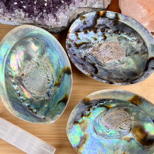 May include: Four iridescent abalone shells with a pearlescent sheen, displaying a range of blues, greens, and browns. The shells are arranged on a light wooden surface, with crystals in the background. These shells are ideal for home decor.