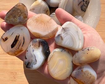 Dendritic Agate Palm Stone: Crown & Root Chakra Crystal - Madagascar
