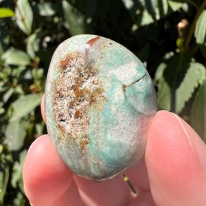 Pu&ograve; includere: Una pietra levigata e arrotondata con una superficie liscia caratterizzata da un mix di toni verde chiaro, bianco e grigio. Un'area prominente, ruvida e porosa con inclusioni minerali marroni e color cuoio &egrave; visibile sul lato sinistro.