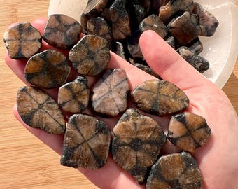 Chiastolite Tumble Stone: Cross Stone, Root Chakra, China - Etsy
