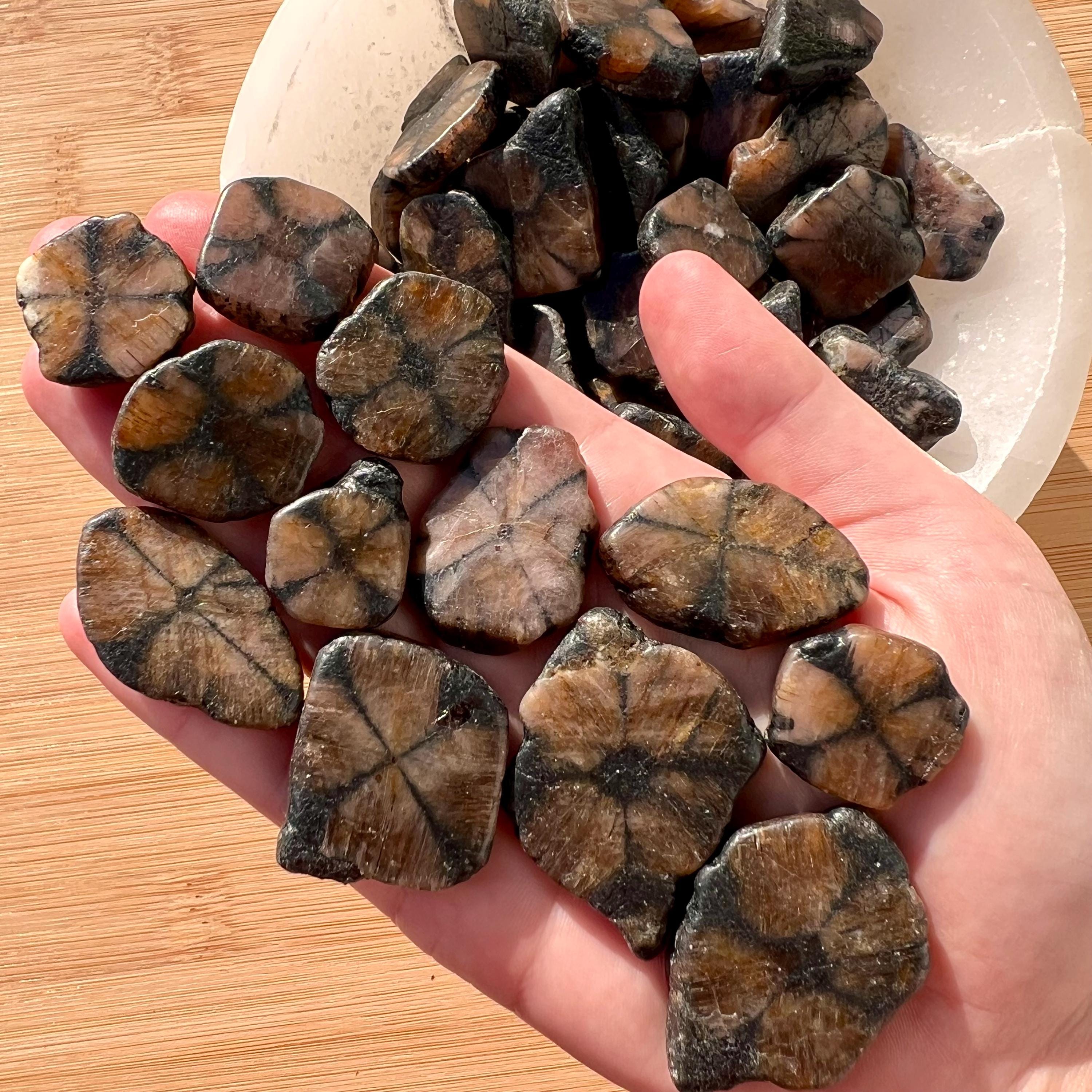 Chiastolite Tumble Stone: Cross Stone, Root Chakra, China - Etsy
