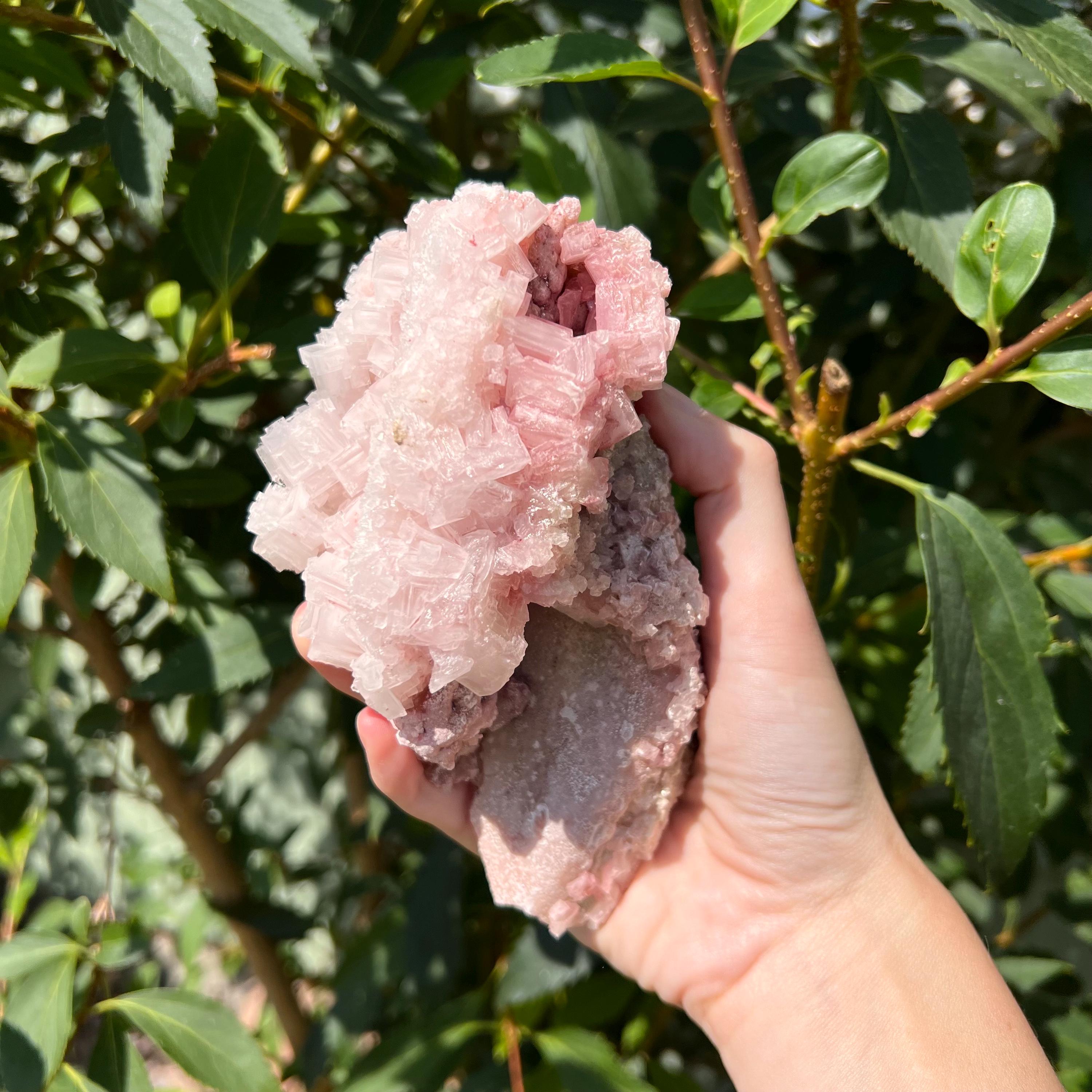 Pink Halite Crystal: Searles Lake Salt, Heart Chakra Stone