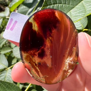 K&ouml;nnte beinhalten: Ein polierter, ovaler Bernstein mit satten, tiefroten und braunen Farbt&ouml;nen. Der Stein hat eine durchscheinende Qualit&auml;t mit sichtbaren inneren Mustern und Einschl&uuml;ssen. Ein kleines wei&szlig;es Etikett mit rosa Markierungen ist sichtbar.