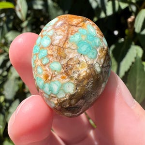 Pu&ograve; includere: Una pietra preziosa lucida di forma ovale caratterizzata da una complessa matrice di vivaci motivi circolari color turchese incastonati in una base di pietra dai toni caldi marroni e beige, con una superficie liscia e lucida e venature naturali.