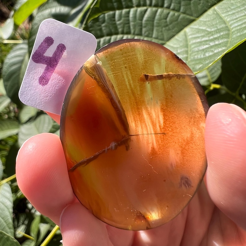 K&ouml;nnte beinhalten: Ein durchscheinender, oval geformter Stein mit orange, gelben und braunen Farbt&ouml;nen. Der Stein hat einen Riss &uuml;ber seine Oberfl&auml;che. Ein kleines, rechteckiges Etikett mit der Zahl "4" in violetter Tinte ist angebracht.