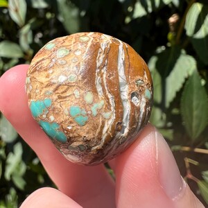 Pu&ograve; includere: Una pietra lucida e arrotondata caratterizzata da un motivo complesso di vortici color marrone terra e marrone chiaro, accentuato da vivaci inclusioni color turchese e sottili venature minerali bianche che attraversano la superficie liscia.