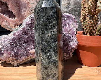 Torre Kambaba Jasper: Ponto de algas estromatólitos fossilizados - Madagascar