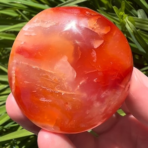 Carneoolpalmsteen: sacraal- en wortelchakrakristal (2,2 oz)