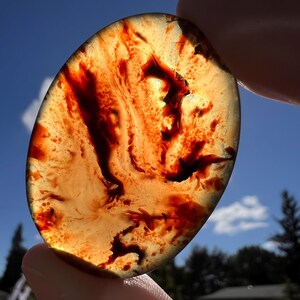 K&ouml;nnte beinhalten: Ein ovales, durchscheinendes Schmuckst&uuml;ck mit einer warmen, bernsteinfarbenen Grundfarbe. Aufwendige Muster aus tiefroten und schwarzen Adern wirbeln durch den Stein und erzeugen ein einzigartiges, nat&uuml;rliches Design. Der Edelstein wird vor einem strahlend blauen Himmel gehalten.