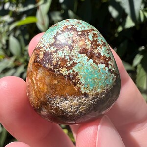Pu&ograve; includere: Una pietra di turchese lucida a forma di uovo caratterizzata da un mix vibrante di tonalit&agrave; verde acqua e blu uovo di pettirosso, finemente venata con una matrice marrone scuro che crea un motivo naturale complesso sulla superficie liscia.