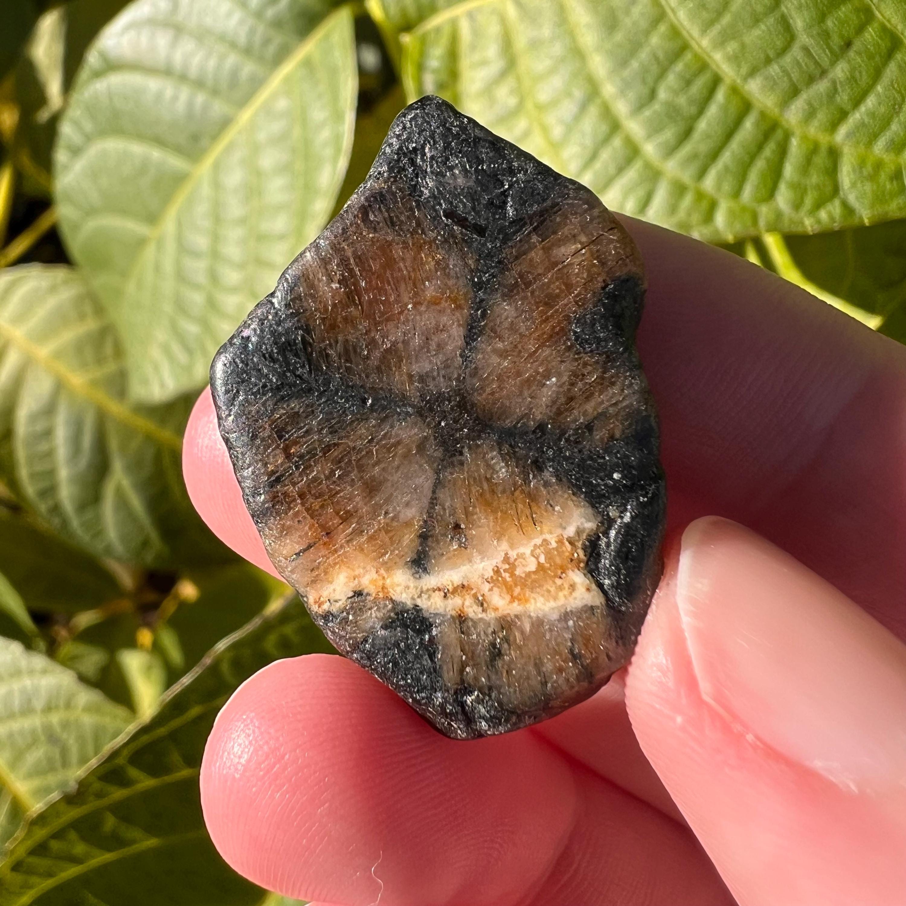 Chiastolite Tumble Stone: Cross Stone, Root Chakra, China - Etsy