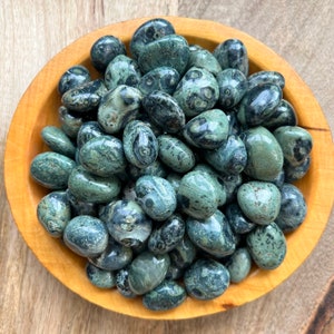 Kambaba Jasper Tumble - Tumbled Kambaba Jasper - Fossilized Stromatolite Algae - Heart Chakra & Root Chakra