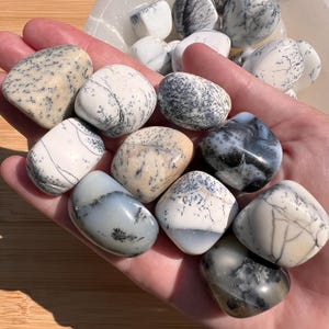 Dendritic Opal Tumble: Crystal for Crown & Root Chakra, Turkey