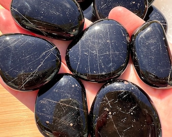 Piedra de palma negra pulida: Piedra del chakra raíz, Madagascar