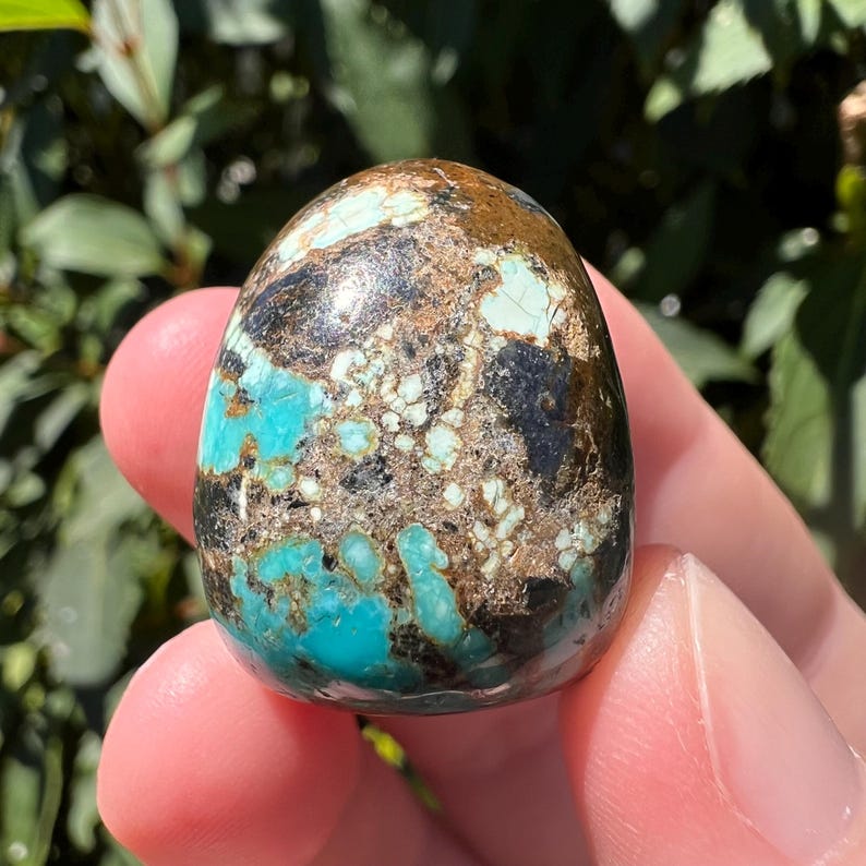 Pu&ograve; includere: Una pietra di turchese lucida a forma di cupola, caratterizzata da un mix vibrante di blu ciano brillante, marrone scuro e motivi a matrice neri. La superficie &egrave; liscia e lucida, mostrando inclusioni minerali naturali e venature complesse.