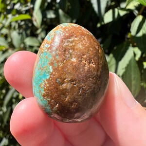 Pu&ograve; includere: Una pietra a forma di uovo caratterizzata da una superficie lucida con una miscela di blu turchese vibrante e marrone terra profondo. La pietra mostra venature minerali naturali e una consistenza liscia e lucida su tutta la forma.