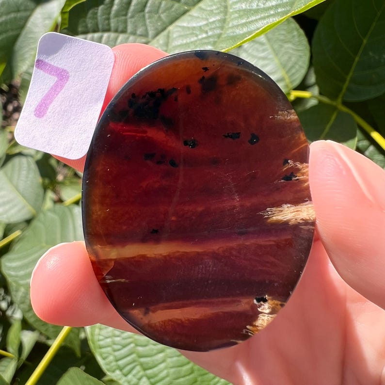 K&ouml;nnte beinhalten: Ein polierter, ovaler Bernsteinstein in einem satten Rotbraun. Der Stein weist nat&uuml;rliche Einschl&uuml;sse und ein geschichtetes Aussehen mit helleren B&auml;ndern auf. Ein kleines wei&szlig;es Etikett mit der Zahl 7 ist sichtbar.
