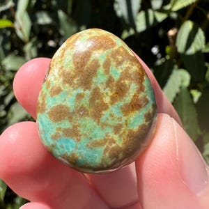 Pu&ograve; includere: Una pietra lucida a forma di goccia caratterizzata da una base di colore verde turchese vibrante con motivi a matrice marrone irregolari e maculati distribuiti sulla superficie liscia e lucida, che mostra variazioni minerali naturali.