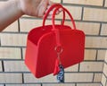 De-vil - We-ars - Pra-da Handbag Popcorn Bucket & High Heel Decor | Fashion Boss Movie Snack Bowl | Girls Movie Night | Devil Designer Style product logo