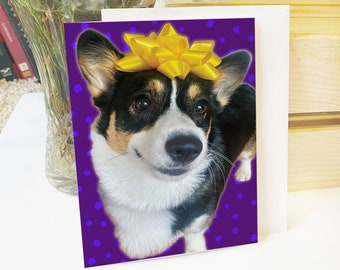 Bow Corgi Birthday Card, Tri-Color Corgi, Pembroke Welsh Corgi, Corgi Gift