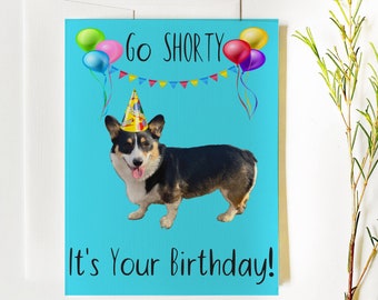 Go Shorty It's Your Birthday Corgi Card, Tri-Color Corgi, Pembroke Welsh Corgi, Corgi Gift