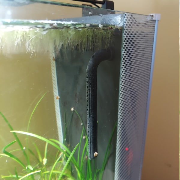 5 Gallon Fish Tank Etsy