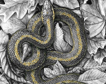 Garter snake on autumn leaves. original Charcoal and pastel