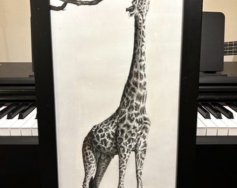 Giraffe and his acacia; Original Charcoal and pastel