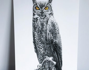 Poster of owl grand duke, he looks at you. Charcoal and pastel