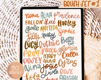 Paquete de 30 pinceles para Procreate (descarga instantánea para iPad)