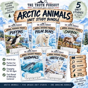 Könnte beinhalten: Ein Bündel aus fünf pädagogischen Studienheften mit dem Titel The Truth Pursuit: Arctic Animals. Jedes Heft zeigt ein anderes Tier: Papageientaucher, Eisbären, Karibus, Narwale und Polarfuchs, mit Feldern für Name, Klasse und Datum.