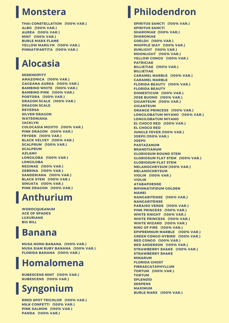 May include: A chart listing different types of plants, including Monstera, Alocasia, Anthurium, Banana, Homalomena, Syngonium, and Philodendron. Each plant type has a list of varieties with their names and percentage variations.