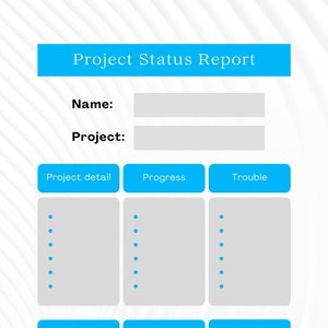 Project Status report